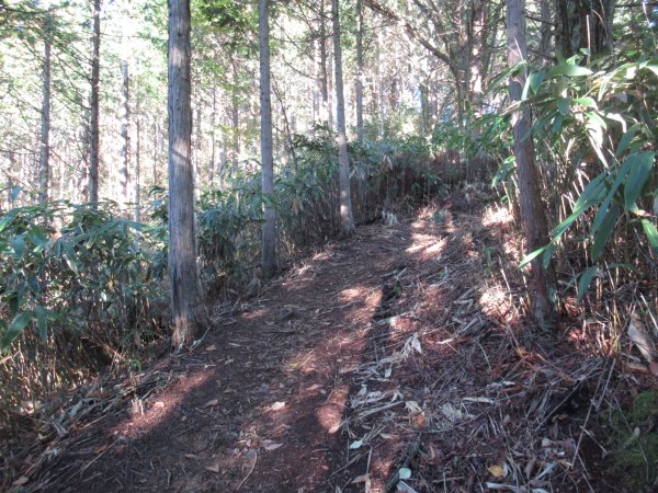 登山道
